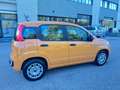 Fiat Panda Panda 1.0 FireFly S&S Hybrid Arancione - thumbnail 5
