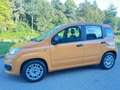 Fiat Panda Panda 1.0 FireFly S&S Hybrid Arancione - thumbnail 2