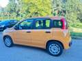 Fiat Panda Panda 1.0 FireFly S&S Hybrid Arancione - thumbnail 3