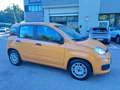Fiat Panda Panda 1.0 FireFly S&S Hybrid Arancione - thumbnail 4