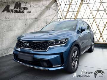 1.6T Platinum 4WD PHEV+Sitzheizung hinten+Totwinke