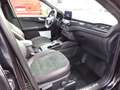 Ford Kuga Kuga 2,5 Duratec FHEV AWD ST-Line X Aut. ST-Line X Schwarz - thumbnail 12