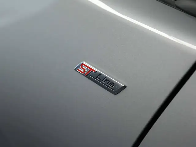 Ford Puma view 18