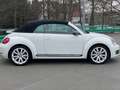 Volkswagen Beetle Sport Blanc - thumbnail 5