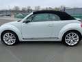 Volkswagen Beetle Sport Blanc - thumbnail 3