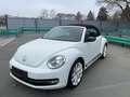 Volkswagen Beetle Sport Blanco - thumbnail 1