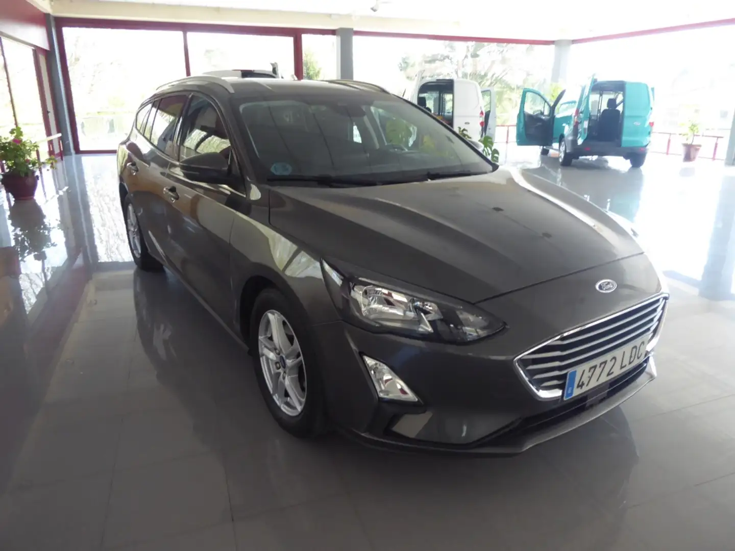 Ford Focus Sportbreak 1.5Ecoblue Trend+ Grey - 1