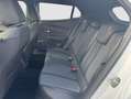 Peugeot 2008 1.2 PureTech S&S Allure 100 Blanco - thumbnail 12