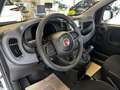 Fiat Panda 1.0 firefly hybrid s&s 70cv Biały - thumbnail 10