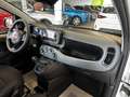 Fiat Panda 1.0 firefly hybrid s&s 70cv Biały - thumbnail 22
