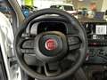 Fiat Panda 1.0 firefly hybrid s&s 70cv Biały - thumbnail 12