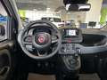 Fiat Panda 1.0 firefly hybrid s&s 70cv Fehér - thumbnail 19