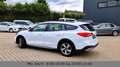 Ford Focus Turnier Active ACC LED Kamera Blanc - thumbnail 3