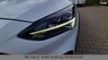 Ford Focus Turnier Active ACC LED Kamera Blanc - thumbnail 9
