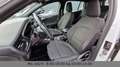 Ford Focus Turnier Active ACC LED Kamera Blanc - thumbnail 14