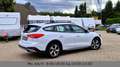 Ford Focus Turnier Active ACC LED Kamera Blanc - thumbnail 6