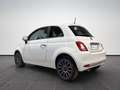 Fiat 500 1.0 FireFly Hybrid Dolcevita Bianco - thumbnail 4
