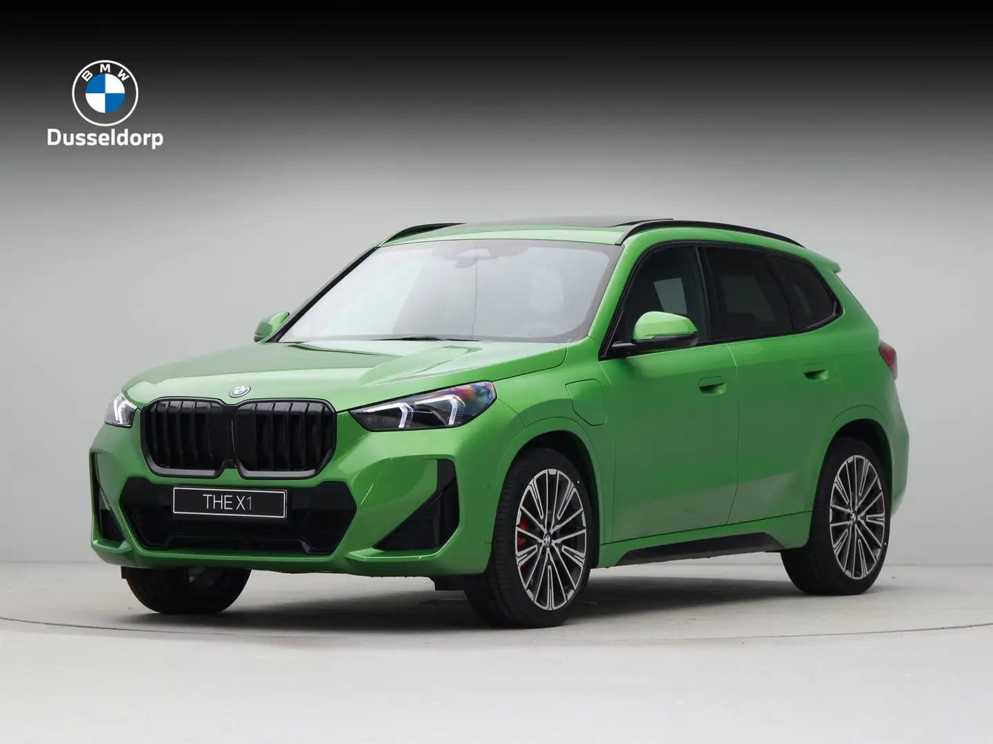 BMW X1 xDrive25e JAVAGREEN II Verde - 1
