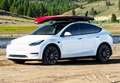 Tesla Model Y Performance AWD - thumbnail 5
