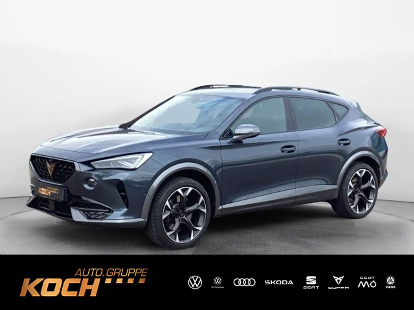 CUPRA Formentor VZ 2.0 TSI 4Drive ACC*AHK*PDC*TopView* Gris - 1