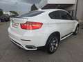 BMW X6 xDrive30d Österreich-Paket Aut. Weiß - thumbnail 7