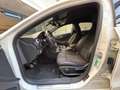 Mercedes-Benz A 180 CDI Sport "ProMMo" Bianco - thumbnail 14