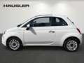 Fiat 500 1.0 GSE DolceVita mit Bluetooth*Tempomat*Klima Blanc - thumbnail 6