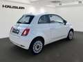 Fiat 500 1.0 GSE DolceVita mit Bluetooth*Tempomat*Klima Blanc - thumbnail 4