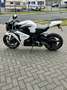 Honda CBR 1000 Fireblade Blanco - thumbnail 7