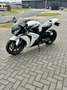 Honda CBR 1000 Fireblade Blanco - thumbnail 8
