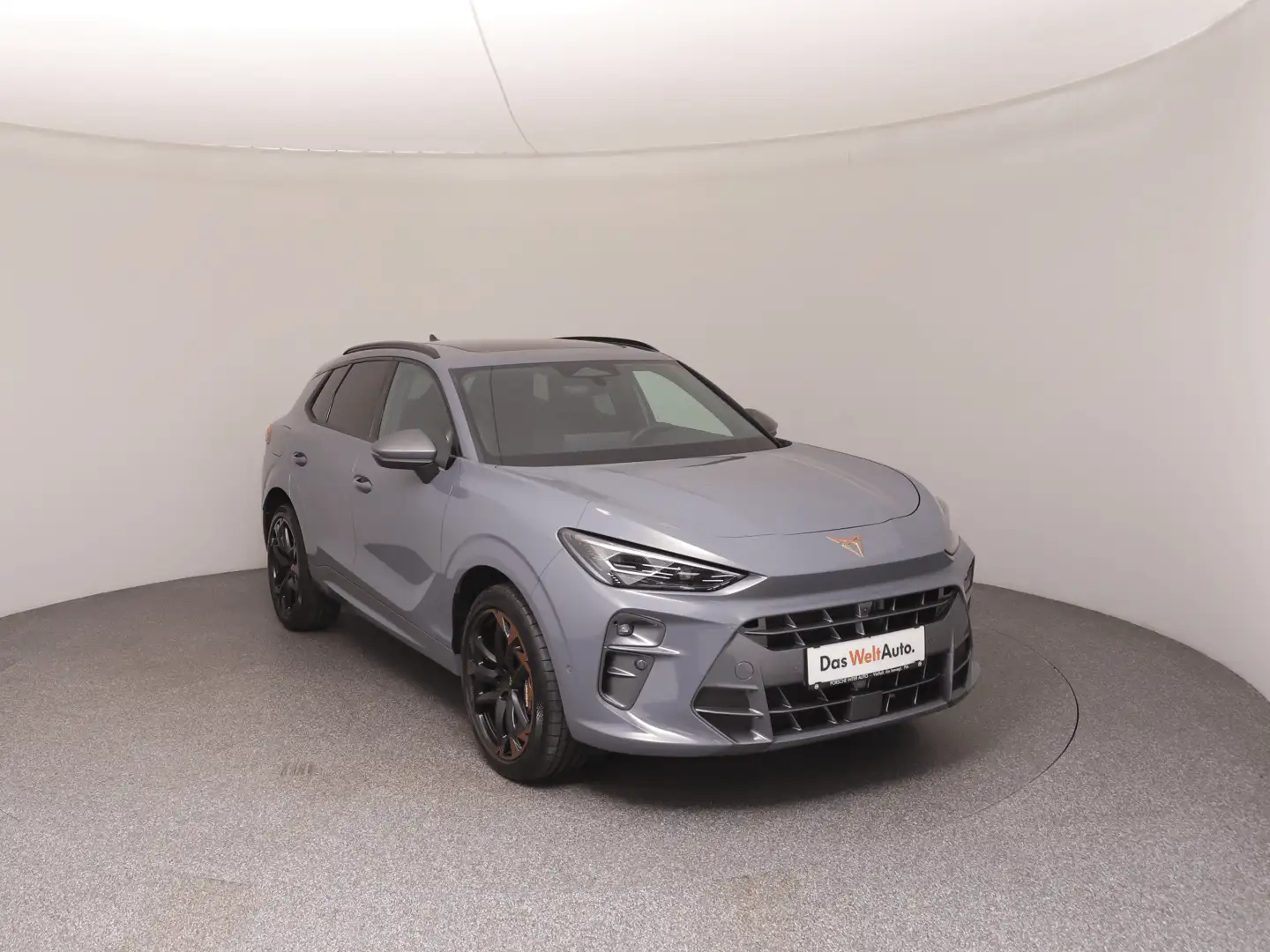 CUPRA Terramar VZ 2.0 TSI 265 PS DSG 4Drive Grau - 2