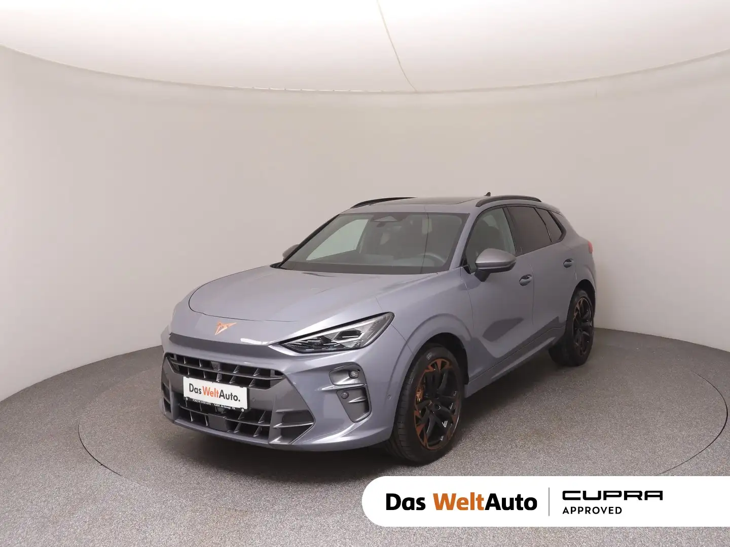 CUPRA Terramar VZ 2.0 TSI 265 PS DSG 4Drive Grau - 1