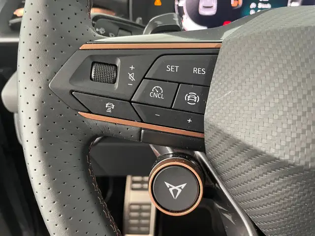 Cupra Terramar view 14