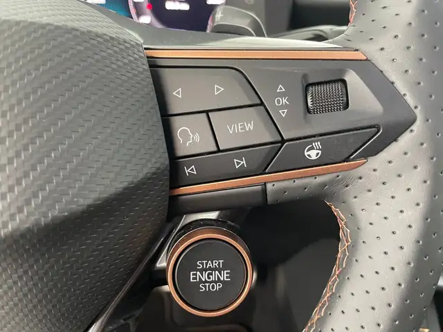 Cupra Terramar view 15