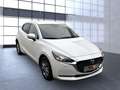 Mazda 2 Exclusive-Line Bluetooth LED Klima Einparkhilfe Weiß - thumbnail 5