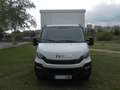 Iveco Daily Chasis Cabina 35C15 4100 146 Blanco - thumbnail 2