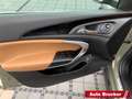 Opel Insignia A Country Tourer 4x4 ecoFlex 2.0 Turbo OPC AHK Nav Бежевий - thumbnail 12
