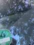 Citroen C4 Picasso Comfort Silber - thumbnail 2
