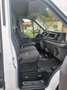 Ford Transit Kasten 350 L3H2 mit Top Ausstattung Weiß - thumbnail 13