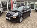 Fiat Panda Pandina 1.0 GSE 52kW Hybrid Klima, DAB Noir - thumbnail 1