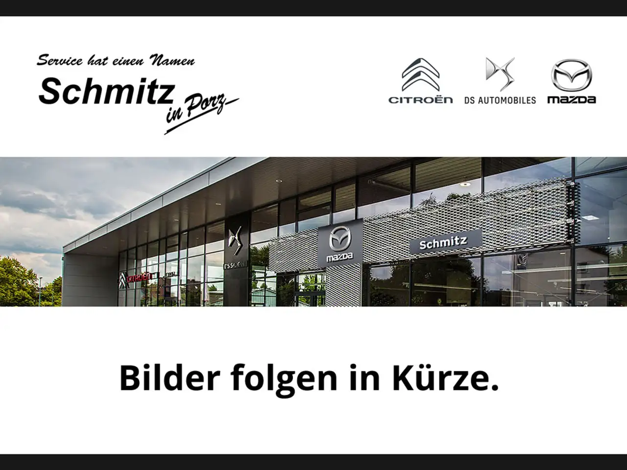 DS Automobiles DS 9 StandHZG El. Panodach Navi Leder Digitales Cockpit — миниатюра 1