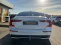 Volvo S60 T8 Plus Dark Plug-In AWD AHK ACC Memory Weiß - thumbnail 6