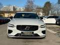 Volvo S60 T8 Plus Dark Plug-In AWD AHK ACC Memory Weiß - thumbnail 10