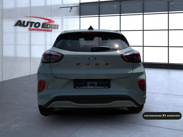 Ford Puma view 13