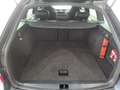 Skoda Octavia Octavia Combi 2,0 TDI Ambition Limited DSG Grau - thumbnail 24