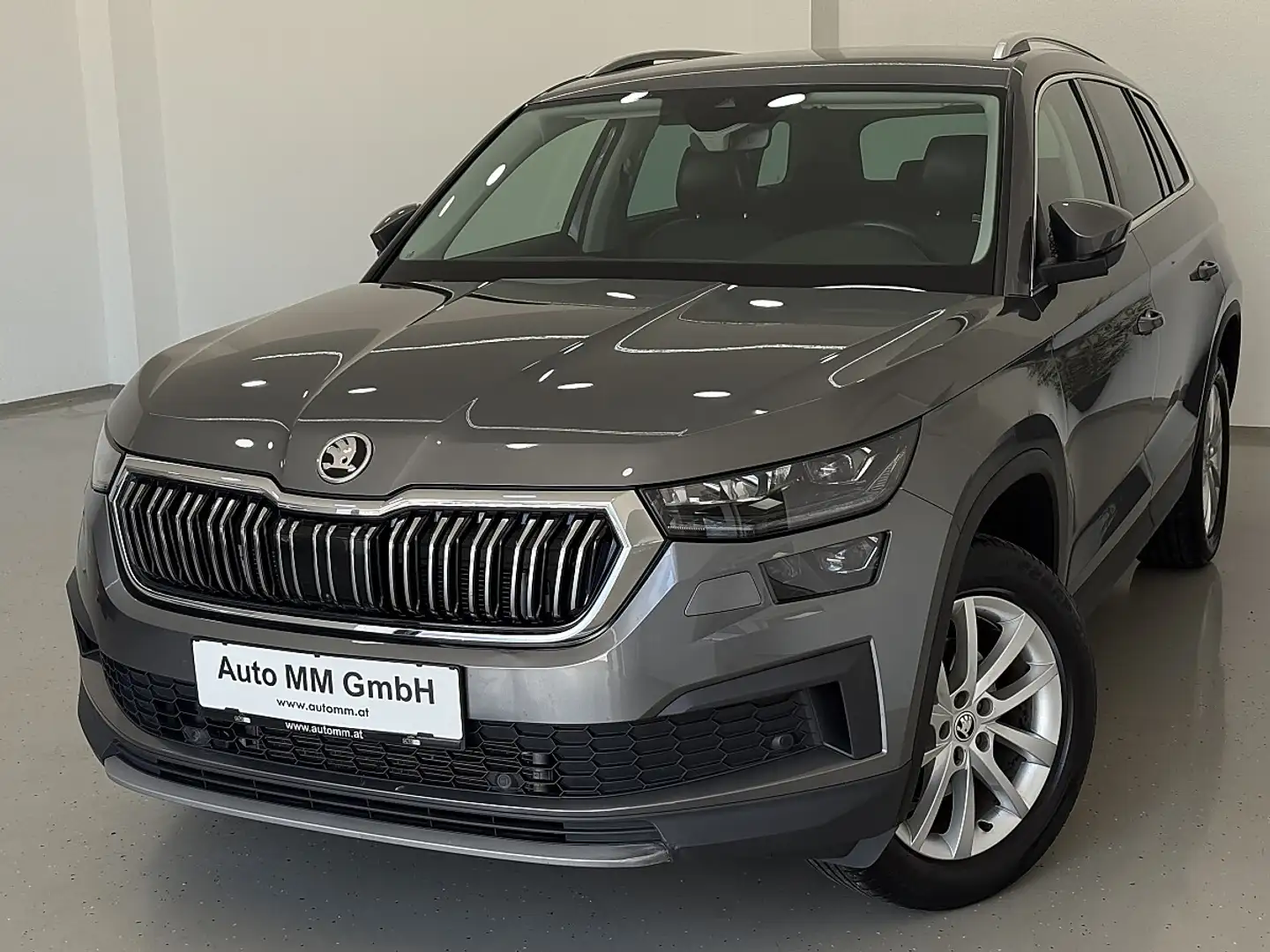 Skoda Kodiaq 2,0 TDI SCR 4x4 Style SC DSG Grau - 1