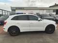 Audi Q5 Q5 2.0 TDI 143 CV Advanced Plus Bianco - thumbnail 3