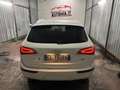 Audi Q5 Q5 2.0 TDI 143 CV Advanced Plus White - thumbnail 6