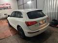 Audi Q5 Q5 2.0 TDI 143 CV Advanced Plus White - thumbnail 7