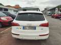 Audi Q5 Q5 2.0 TDI 143 CV Advanced Plus Bianco - thumbnail 5